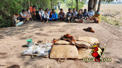 dagac1-bat-22-doi-tuong-da-ga-an-tien-2-10