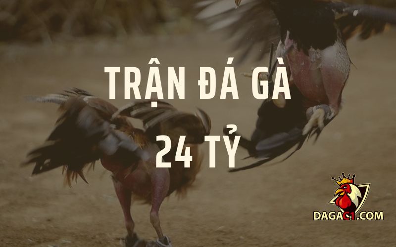 Trận đá gà 24 tỷ