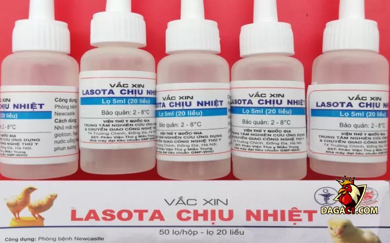 vacxin Lasota chịu nhiệt có tác dụng gì